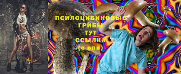 мяу мяу мука Абинск