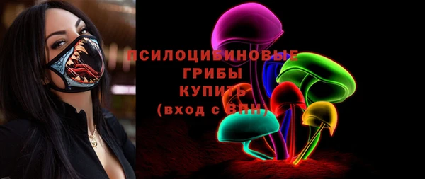 PSILOCYBIN Карпинск