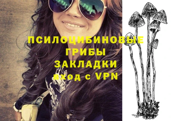 a pvp Пролетарск