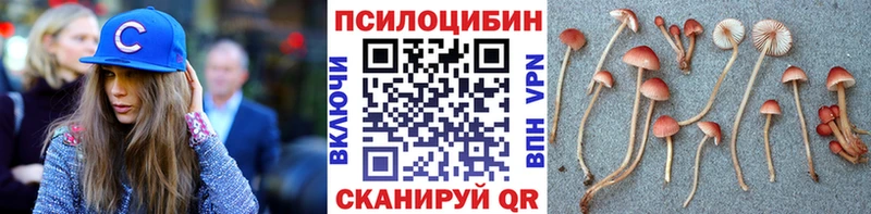 Псилоцибиновые грибы GOLDEN TEACHER  закладки  shop как зайти  Вичуга 